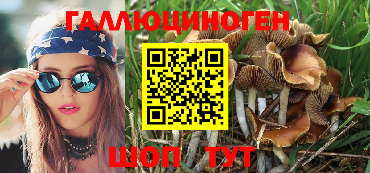 Галлюциногенные грибы Magic Shrooms  Псилоцибиновые грибы MAGIC MUSHROOMS  Нижнеудинск  Вход с VPN 