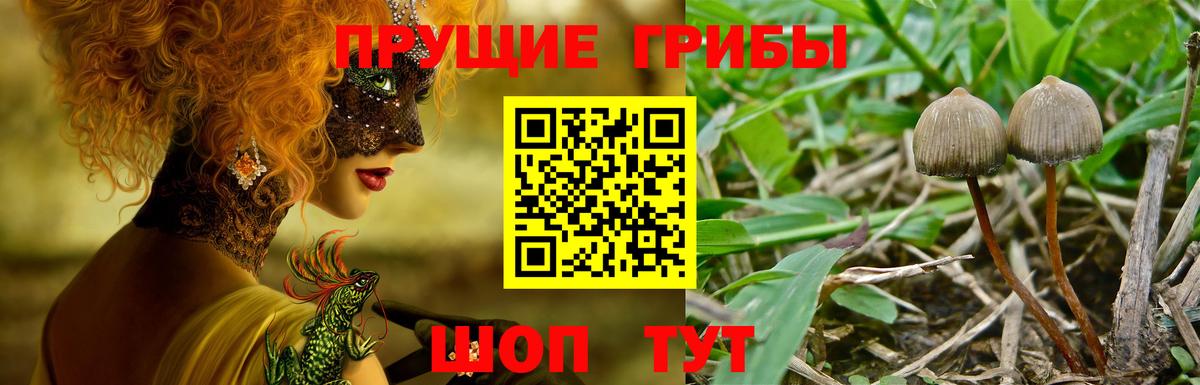 Галлюциногенные грибы мухоморы Нижнеудинск